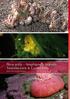 Peracarida Amphipods, Isopods, Tanaidaceans & Cumaceans