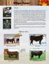 Wilgor Farms! Reference Sires... Welcome...