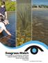 Seagrass-Watch Proceedings of a workshop for monitoring seagrass habitats in the Noosa region, South East Queensland CWA Hall, Tewantin 9-10 March