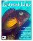 Inside This Issue: BAP Report HCCC Photo Contest Species Profiles: Meet a New Member How to Build a Fishroom
