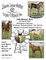 19th Annual Sale. Friday, September 10, 2010 Weyburn Livestock 7:00 p.m. Laurie Levee Wolter Box 237 Radville, SK S0C 2G