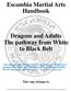 Escambia Martial Arts Handbook. Dragons and Adults The pathway from White to Black Belt