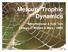 Mercury Trophic Dynamics. Mike Newman & Kyle Tom College of William & Mary - VIMS