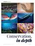 INDONESIA W AKATOBI. Conservation, in depth