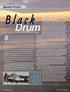 Black. Drum. Black drum (Pogonias cromis) are a valuable. Species Profile: By Jason Hearon, Senior Biologist
