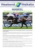 SAVABEEL GELDING MABEEL FAVOURITE FOR GR.1 EASTER STAKES