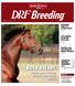 rock steady afleet alex succeeds without superstar, page 8 Breeding Update Get breeding and sales news in your inbox sign up at drf.
