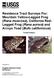 Residence Tract Surveys For: Mountain Yellow-Legged Frog (Rana muscosa), California Red- Legged Frog (Rana aurora) and Arroyo Toad (Bufo californicus)