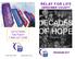 RELAY FOR LIFE HERKIMER COUNTY DECADES OF HOPE LET S FINISH THE FIGHT!