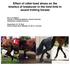 Effect of roller-toed shoes on the kinetics of breakover in the hind limb in sound trotting horses