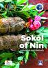 Sokol of Nin. Irresistibly tasty delicacy