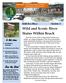 Wild and Scenic River Status Within Reach. In this issue