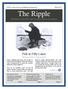 FLPOA minnesotawaters.org/fiftylakespropertyowners/ The Ripple. Newsletter of the Fifty Lakes Property Owners Association. Fish in Fifty Lakes