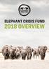 ELEPHANT CRISIS FUND 2018 OVERVIEW. David Giffin