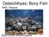 Osteichthyes: Bony Fish