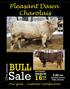 Welcome Friends to our 17th Annual Bull Sale!