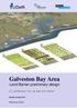 Galveston Bay Area Land Barrier preliminary design. E.C. van Berchum; P.A.L. de Vries; R.P.J. de Kort. Draft version 0.9