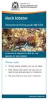 Recreational fishing guide 2017/18. A licence is required to fish for any species of rock lobster. Female setose lobsters can now be taken.