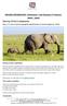 Saving China's elephants