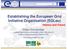 Establishing the European Grid Initiative Organization (EGI.eu)