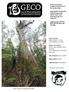 GECO survey report, published with Friends of the Greater Glider