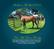 Stallions At Stud New Hill Farm Worsley WE STAND SPORTS HORSE & PONY STALLIONS SUITABLE FOR BREEDING TOP CLASS YOUNG STOCK FOR ALL DISCIPLINES
