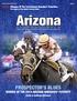 PROSPECTOR S BLUES THOROUGHBRED WINNER OF THE 2014 ARIZONA BREEDERS FUTURITY. (Colts & Geldings Division)