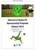 Stanmore Hawks FC Sponsorship Proposal Season 2019