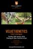 Velvet GENETICS. STEVE BLANCHARD PEEL FOREST ESTATE 1 BRAKE ROAD, RD 22, GERALDINE 7992 NEW ZEALAND
