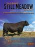 Welcome To The 2nd Annual Still Meadow Bull Sale...