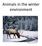 Animals in the winter environment. Source: