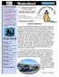 Mainsheet. The Thunderbird Sailing Club Monthly Newsletter