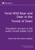 Feral Wild Boar and Deer in the Forest of Dean
