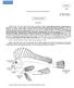 FAO SPECIES IDENTIFICATION SHEETS CONGIOPODIDAE* Horsefishes