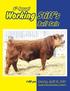 Welcome to the 6 th Annual Working Stiff s Bull Sale