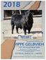 RIPPE GELBVIEH 19 th Annual Bull Sale BTBR. SATURDAY, MARCH 10 1:00 P.M. Complimentary Lunch 12: Y. Our Herdsire. Several heifer bull sons sell