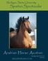 Michigan State University. Spartan Spectacular. Arabian Horse Auction. Sunday, April 28, :00 p.m. MSUARABIANS.COM