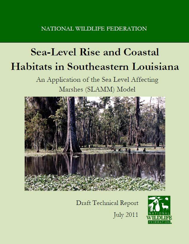 Sea-Level Rise and Coastal Habitats in Southeastern Louisiana An Application of the SLAMM Model Patty Glick (National Wildlife Federation)