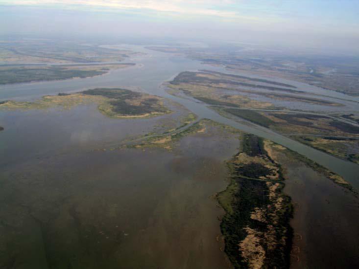 Salt marsh in some areas appears relatively resilient