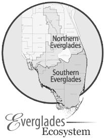 The Economic Impact of Recreational Fishing in the Everglades Region Introduction The Everglades Region is widely known for its outstanding freshwater and saltwater fishing.