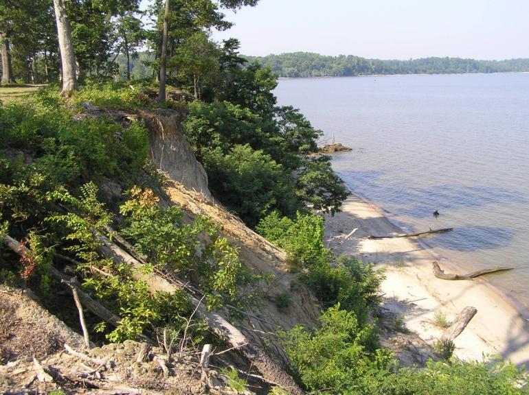 Bank erosion high; forested shoreline; bank height > 30 ft It is assumed that a forested bank at this height is not providing a significant water quality benefit because the groundwater comes out of