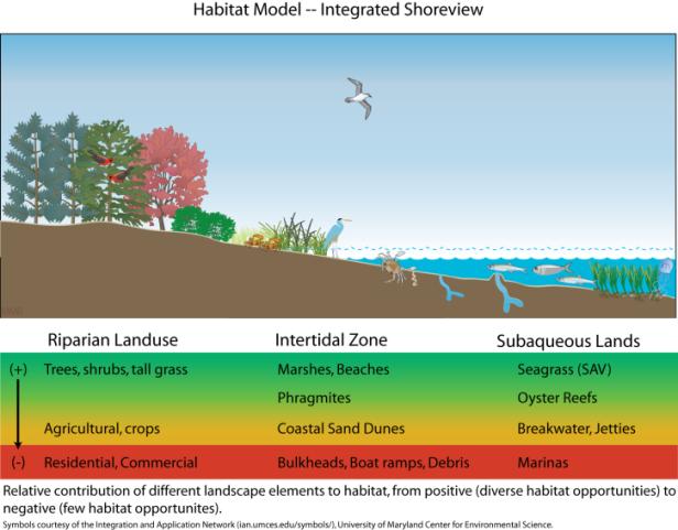 The best decisions regarding the management of coastal resources are made using integrated coastal zone management.