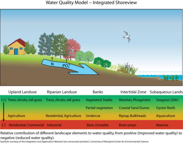 Integrated management adapts project design to local conditions in order to minimize cumulative adverse impacts to ecological services provided by the tidal shoreline system.