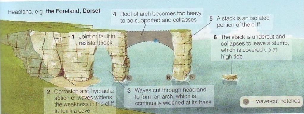 Erosional Coastal Landforms Stack formation 1. Headland attacked by hydraulic action, corrasion and attrition. Cracks begin to appear. 2.