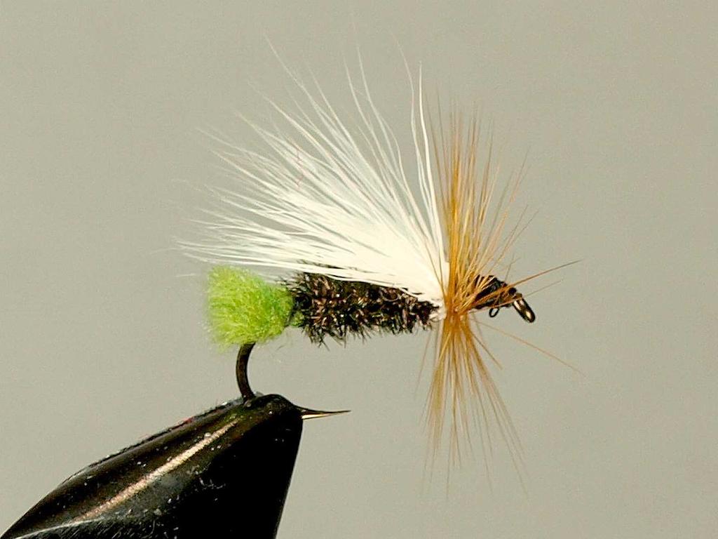 sometime in the 1950 s. The pattern represents a generalized caddis pattern. Over the years I ve found this fly to be a great producer of fish and I agree with Mr.