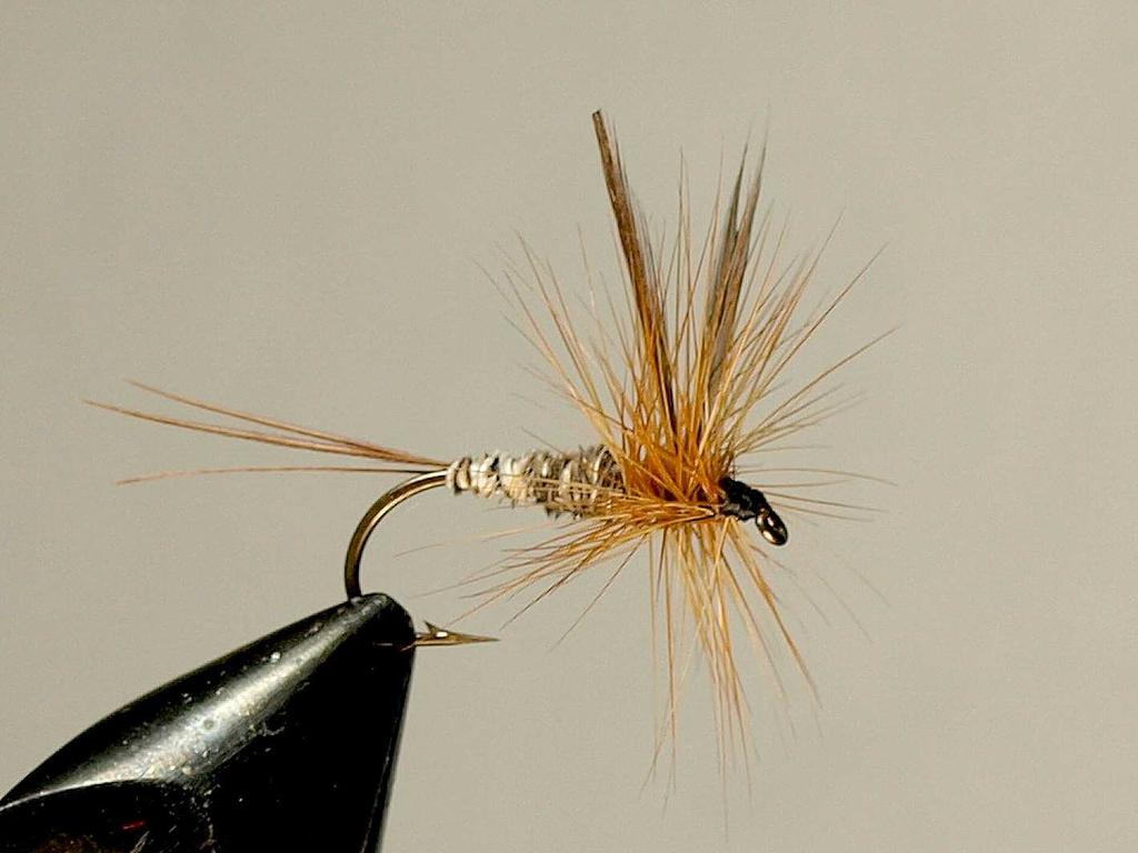 Hansen s Drake is another of Ann s creations most probably developed in the late 1940 s. The fly was named after Dad Hansen. Hansen was a loyal customer and friend of the Schweigerts.