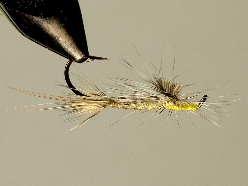 Herring Drake is a unique fly pattern. It was not created for trout but rather for lake whitefish, which Michigan sportsmen erroneously call herring (hence the name Herring Drake).