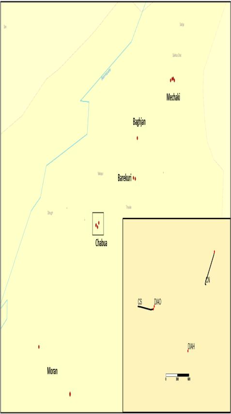 FIELDS OF STUDY Under the consultancy service OIL identified four fields for study and provided data of offset wells as below- MORAN FIELD BAGHJAN / BAREKURI FIELD MECHAKI FIELD CHABUA FIELD MFC