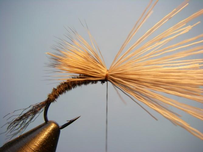With the tips pointing rearward to about halfway down the body, secure the deer hair with a few loose wraps and then a