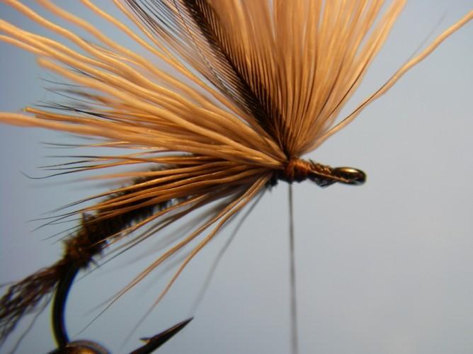 Prepare a hackle by trimming a few barbs close to